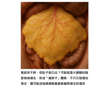 我們的肚子裡,有大一塊癌細胞最愛的「脂肪墊」- 大網膜