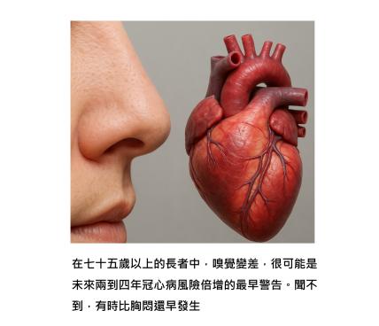 嗅覺變差,心臟先知道 - 隱藏的冠心症風險