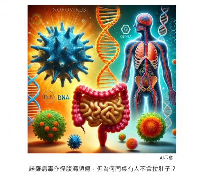 諾羅病毒造成腹瀉頻傳，但為何同桌有人不會拉肚子？