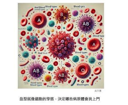 血型就像細胞的穿搭：紅血球上的糖分子，決定哪些病原體會找上門