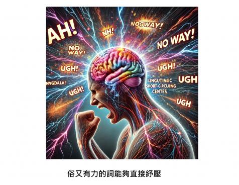 俗又有力的詞，為何最對大腦的味？「語言短路機制」幫我們紓壓及穩定情緒