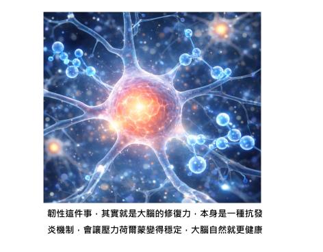 韌性、幸福感與人生意義,其實是抗發炎因子 - 「活得開心一點」真的會保護大腦