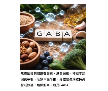 當大腦的煞車分子慢了一點 - 如何看懂焦慮,然後慢慢把它調回來