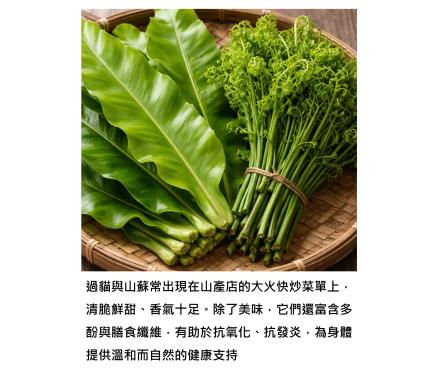 常吃的過貓與山蘇 - 蕨類可以幫忙抗氧化抗發炎