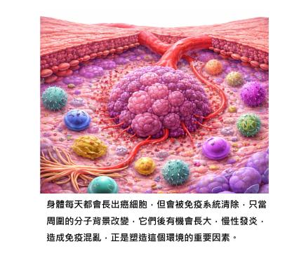 癌症不是壞細胞突然出現 - 是分子背景改變,讓它有機會長大