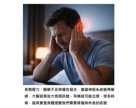 夜深嗡嗡的耳鳴,其實是大腦敏感度被調高的結果