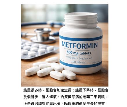 治療糖尿病的老藥,為什麼也能降低癌症風險?當代謝被調整,身體的分子背景改變後,細胞自然不會走偏