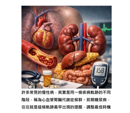 血糖只是第一站 - 看懂「心血管腎臟代謝症候群」疾病軌跡,才能讓慢性病停在起點