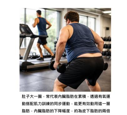 肚子那一圈為什麼瘦不掉?關鍵在「同步訓練」,讓身體先清內臟脂肪