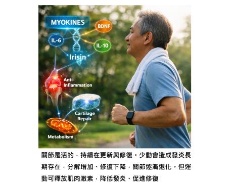 運動,其實是一種「身體自己開出治療關節炎的藥」