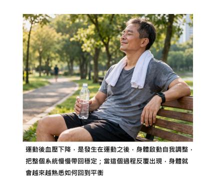 運動時血壓明明會上升,為什麼說能降血壓?答案在運動後的那段調整時間